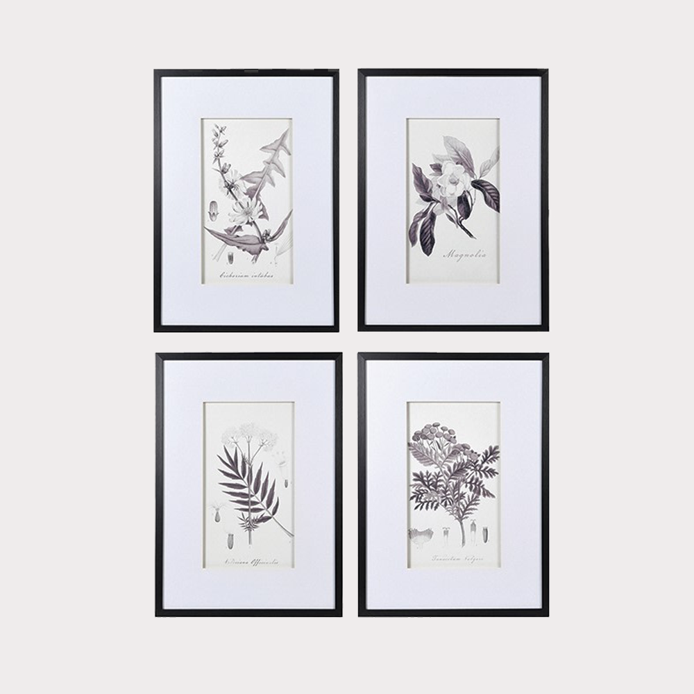 Set of 4 Monochrome Botanical Prints