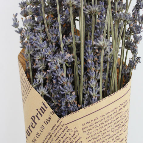 Paper Wrapped Lavender Bunch