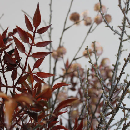 Autumnal Leaf Spray