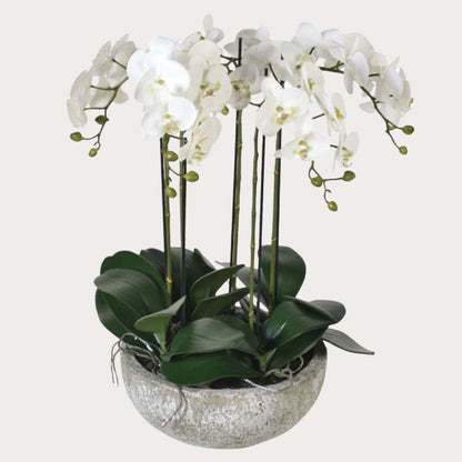 Faux Orchid in Stone-Effect Bowl